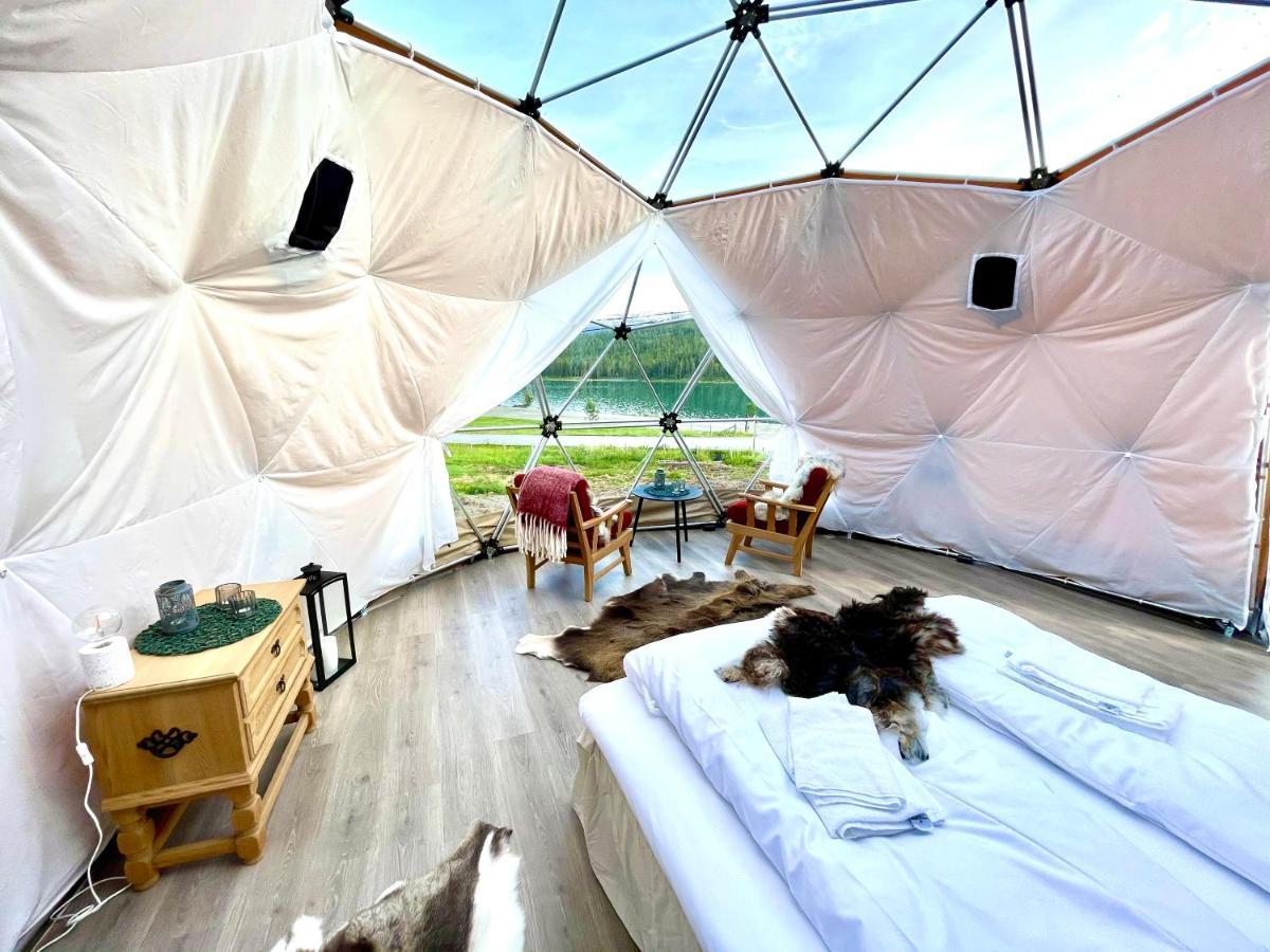 Reinheimen Lodge Skjåk 外观 照片