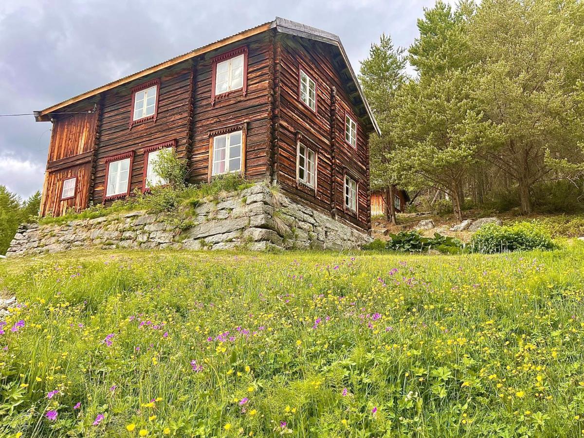 Reinheimen Lodge Skjåk 外观 照片