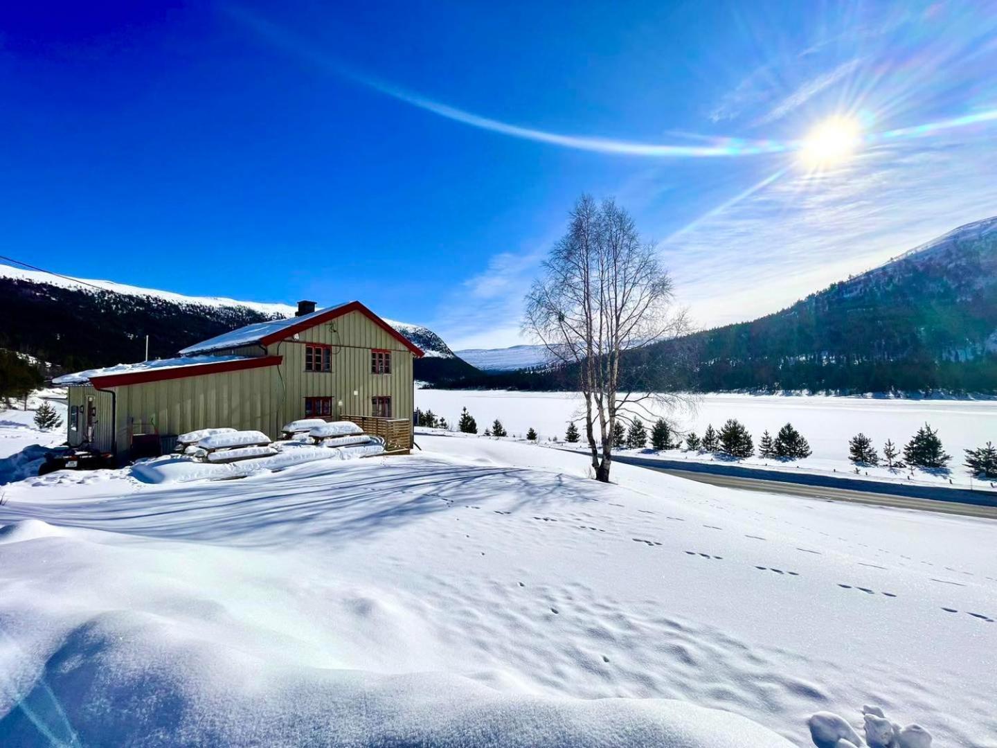Reinheimen Lodge Skjåk 外观 照片